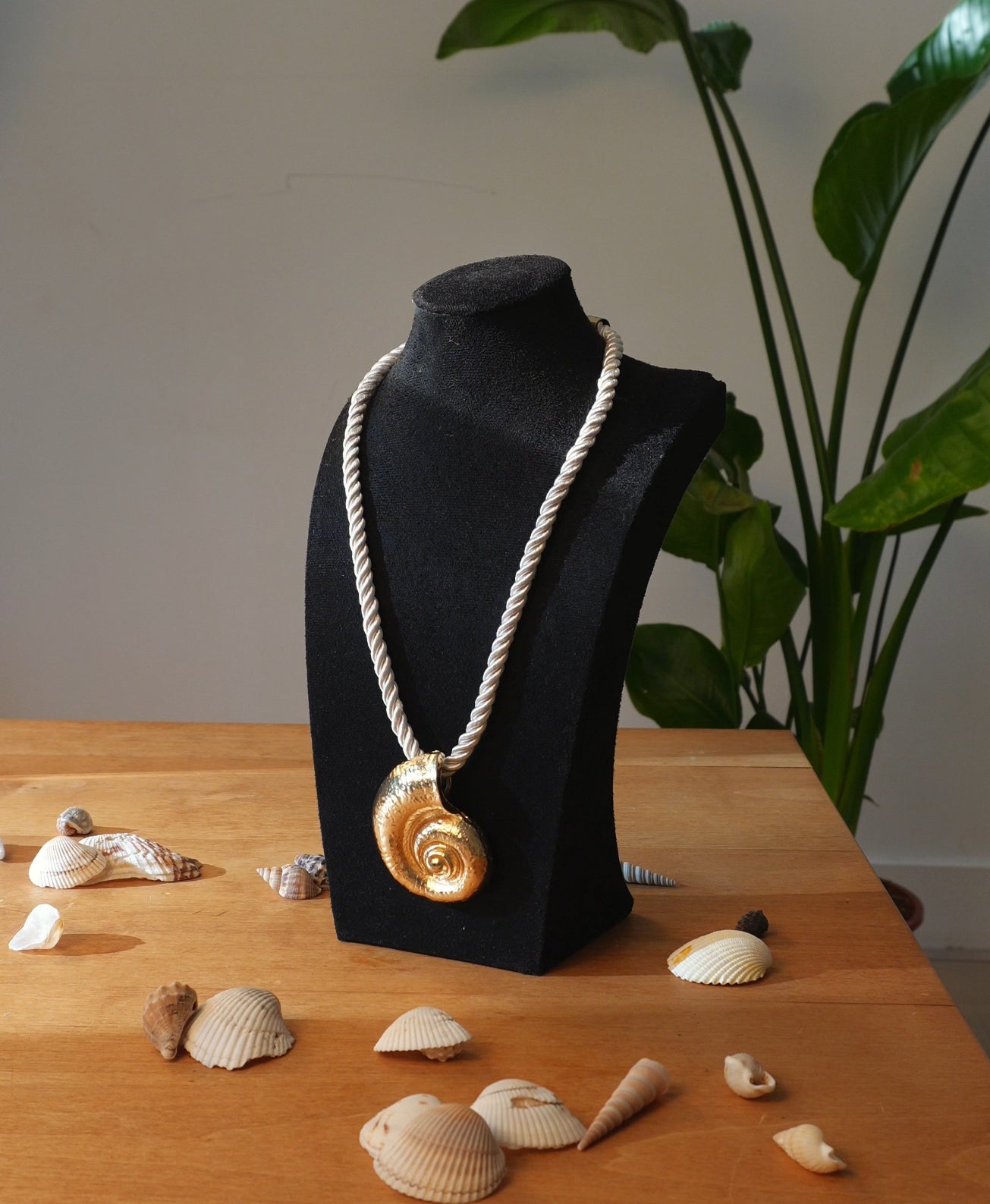 Golden Shell Set